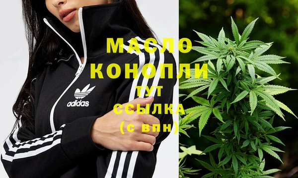 шишки Вуктыл