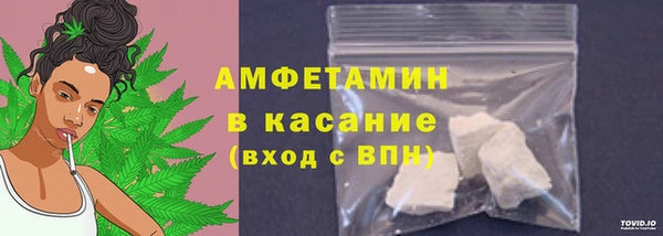 молекула духа Мегион