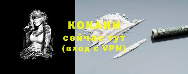 молекула духа Мегион