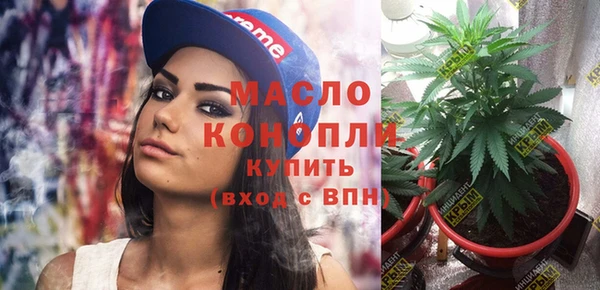 молекула духа Мегион